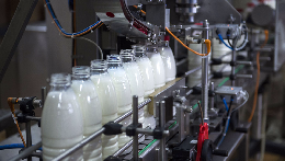 Госдума введет господдержку для производителей молока