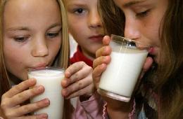 Парламентарии подготовили законопроект о стандартах питания для школьников