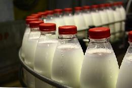 Цены на основные категории молочной продукции сохраняются на стабильном уровне