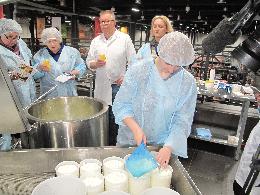 Австрийские мастера обучили томичей сыроварению и дали оценку местным ремесленным сырам