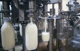 В ближайшее время ожидается проведение пилотного проекта по маркировке молочной продукции