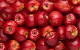 Миллиардер Агаларов инвестировал в производство органических яблок