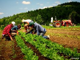 В Томской области стартовал набор новой группы на профессиональную переподготовку в сфере органического сельского хозяйства 