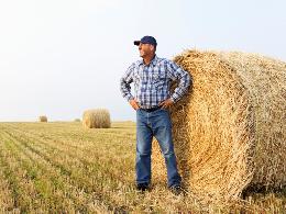 Томские фермеры могут заявить о своем бизнесе через новый медиапроект
