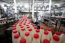 Минсельхоз России: растет производство молока