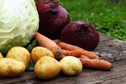 Минсельхоз поручил регионам увеличить урожайность картофеля и овощей в 2020 году