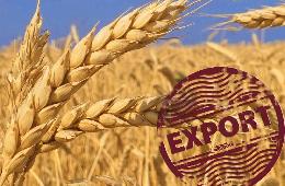 Эксперт: Роста цен на зерно и отмены экспортной пошлины ждать не стоит