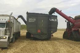 «Зерновой гигант» помогает фермерам собирать урожай