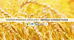 Магистратура МГИМО и Минсельхоза «Мировые аграрные рынки»