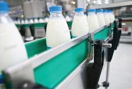 Danone в Томске продолжает принимать молоко от фермерских хозяйств