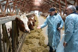 Харон Амерханов: Томская область имеет большой резерв по увеличению продукции животноводства