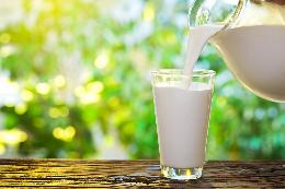 Минсельхоз России: за 7 месяцев производство молока в сельхозорганизациях выросло на 2,9%