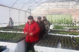 Участники Агрономического собрания посетили овощеводческие хозяйства Томской области