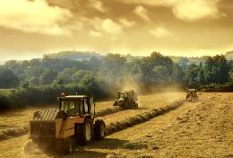 Госдума приняла закон о развитии потребительских сельхозкооперативов