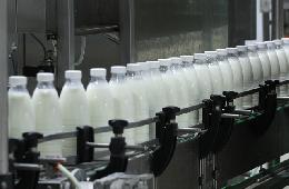 Производство молока в сельхозорганизациях увеличилось на 7%