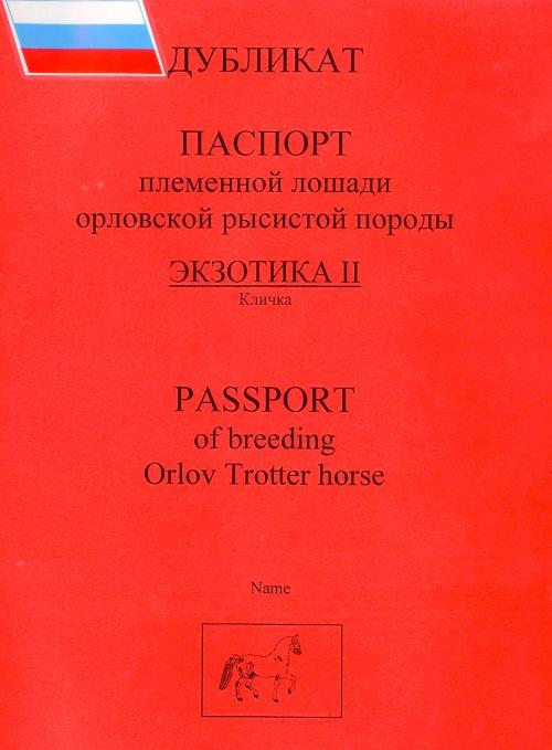pasport_500.jpg
