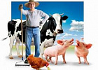 Конкурсы «Начинающий фермер» и «Семейная животноводческая ферма» стартуют 28 марта  