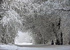 В Томской области прогнозируются сильные морозы