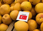 Турецкие овощеводы в отчаянном положении