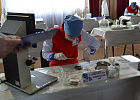 В Томской области пройдет Чемпионат экспертов по методике Worldskills В Томской области пройдет Чемпионат экспертов по методике Worldskills