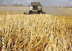 Минсельхоз России: в стране практически завершена уборка пшеницы и ячменя