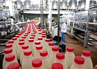 Объём реализации молока в сельхозорганизациях вырос на 7,4%
