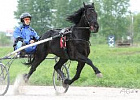 Открытое первенство по конному спорту в Зырянском районе прошло на обновленном ипподроме Открытое первенство по конному спорту в Зырянском районе прошло на обновленном ипподроме