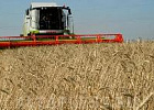 Уборочную кампанию в Томской области сдерживают дожди Уборочную кампанию в Томской области сдерживают дожди