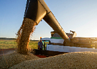 Урожай зерна в РФ в 2021 г из-за засухи будет ниже на 11 млн тонн, чем в 2020 г