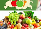 Томских аграриев приглашают принять участие во Всероссийском форуме «Плоды и овощи России» 