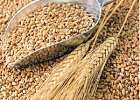 В Минсельхозе обсудили качество и безопасность зерна и продуктов его переработки