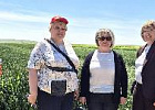 На Дне поля в ООО ОПХ «Луч» обсудили перспективы селекции зерновых и зернобобовых культур