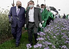 Джамбулат Хатуов принял участие в открытии выставки «День поля – 2020» в Татарстане Джамбулат Хатуов принял участие в открытии выставки «День поля – 2020» в Татарстане