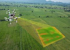 Первые в России соревнования по точному земледелию и пилотированию дронов состоятся в Томской области
