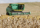 Минсельхоз России: в стране собрано 108 млн тонн зерна 