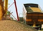 В России собрано более 73 млн тонн пшеницы