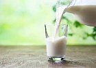 Минсельхоз РФ планирует поддерживать молочную отрасль до выхода на самообеспеченность 