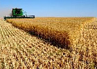 Минсельхоз: экспорт зерна из России за год составит 34–35 млн тонн