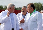 Губернатор Сергей Жвачкин призвал нового главу Кривошеинского района развивать производства в сфере ЛПК и АПК