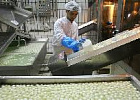 Губернатор откроет производство сыра на «Деревенском молочке»
