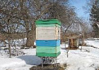 Для пчеловодов Томской области подготовили отраслевой календарь