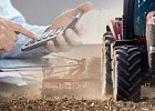 Власти увеличат субсидии производителям на 3,5 млрд рублей на 2019 год Власти увеличат субсидии производителям на 3,5 млрд рублей на 2019 год