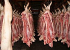 Снижение цен на полутуши свиньи на этой неделе продолжится
