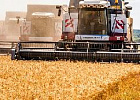 Минсельхоз России: убрано 34 млн тонн зерна