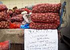 На «Празднике картошки» продано 90 тонн картофеля и 3,5 тонны овощей 