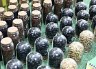 В Минсельхозе обсудили вопросы совершенствования сортоиспытательной деятельности В Минсельхозе обсудили вопросы совершенствования сортоиспытательной деятельности