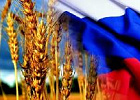 Экономика Томской области демонстрирует стабильность в условиях санкций