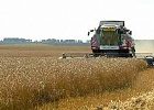 Прирост по уборке урожая в Томской области за прошедшую неделю составил 20%