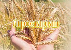 В Томской области стартовал конкурсный отбор на получение гранта «Агростартап» В Томской области стартовал конкурсный отбор на получение гранта «Агростартап»