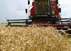 Минсельхоз России: кредитование сезонных полевых работ выросло на 22%